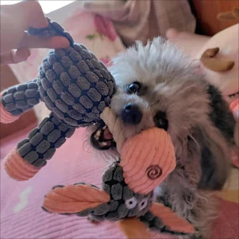 Brinquedo Para Cachorro