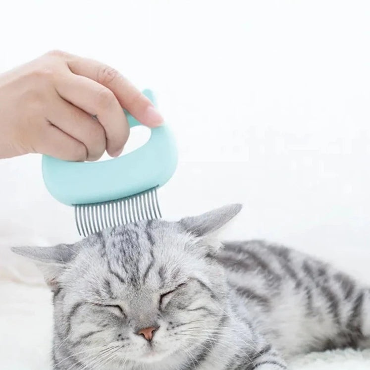 Pente com Alça Massagem para Cães e Gatos