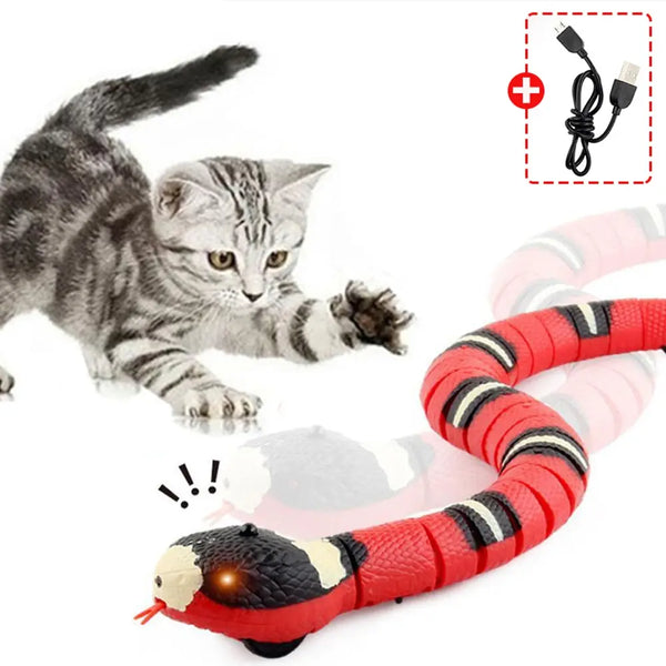 Cobra Inteligente para Gato