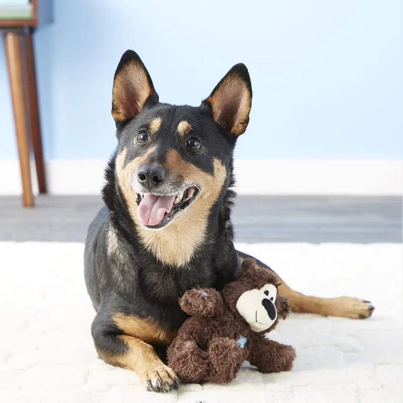 Brinquedo Urso de Pelúcia com corda Resistente