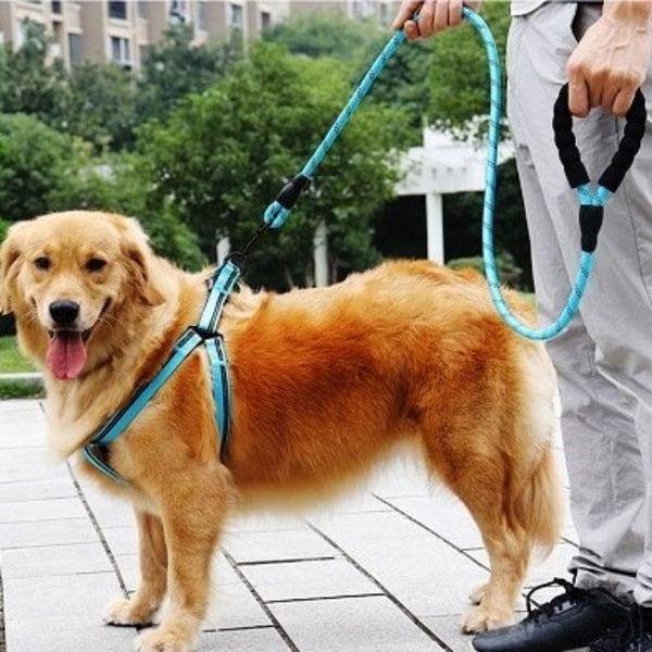 Guia Reflexiva Para Cães de Pequeno, Médio e Grande Porte